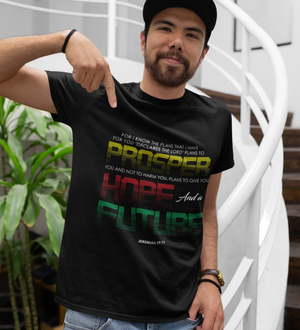 Jeremiah 29:11 (Unisex)
